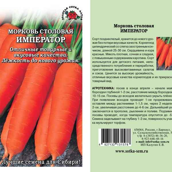 Морковь сорта Император: хаpaктеристика и особенности выращивания