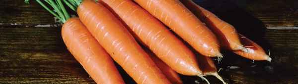 Особенности ухода и выращивания моркови Лагуна F1