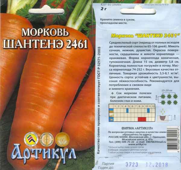 Подробное описание и хаpaктеристика моркови сорта Шантане