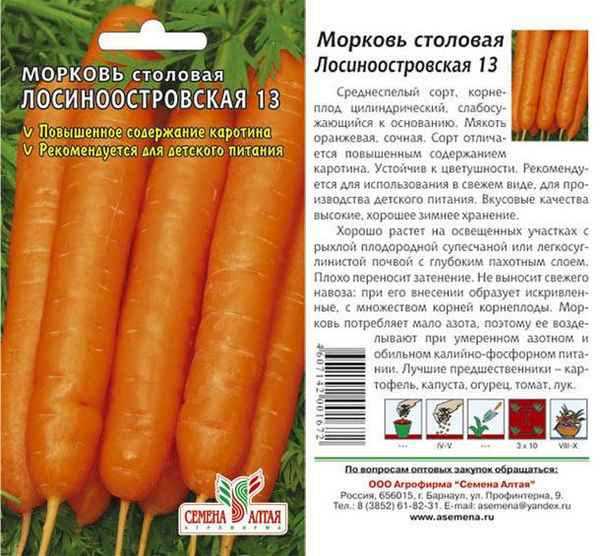 Морковь Лосиноостровская 13: описание сорта и особенности выращивания