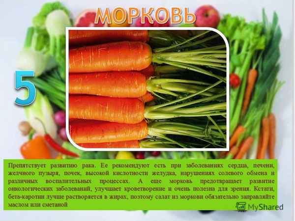 Можно ли есть морковь при гастрите?