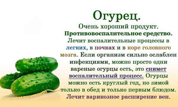 Полезен ли огурец с мёдом для организма человека