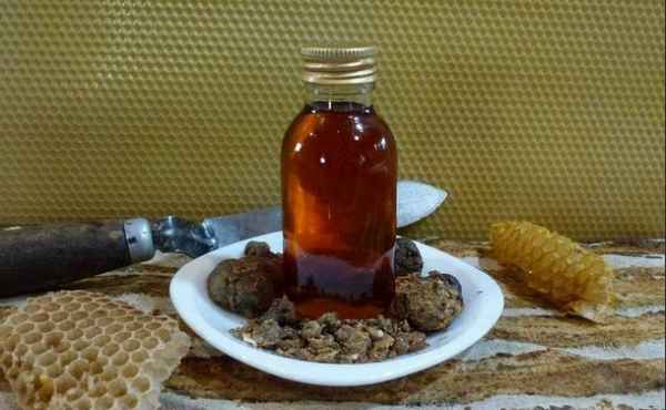 Настойка из водки и прополиса: от чего помогает, приготовление в домашних условиях