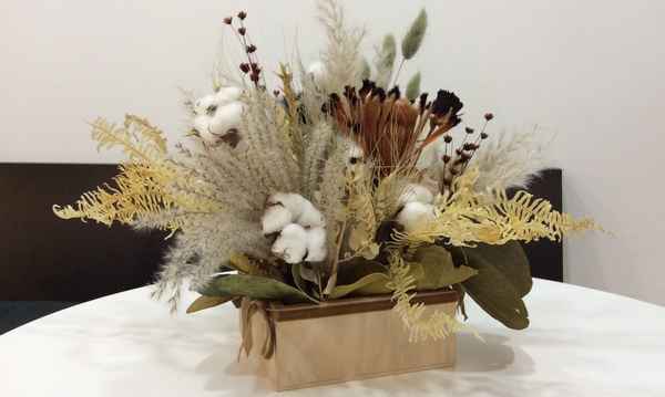 6 чудесных сухоцветов для выращивания и создание декоративных композиций