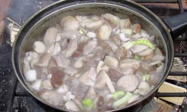 Как приготовить вешенки на костре