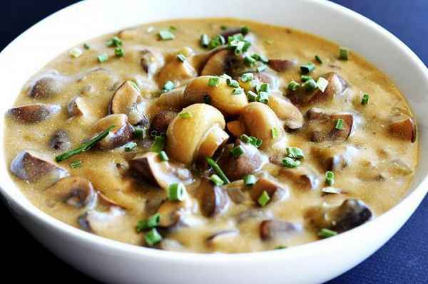 Рецепты грибовницы из белых грибов