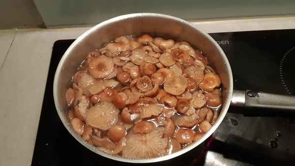 Способы приготовления луговых опят