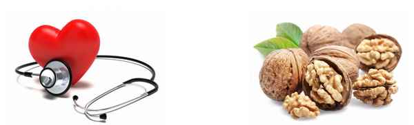 Как при давлении применять грецкий орех