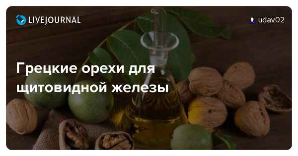 Применение настойки на зелёных грецких орехах при болезнях щитовидной железы