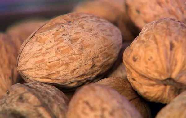 Сорта грецкого ореха