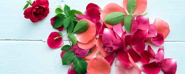 Лепестки этих растений я использую в готовке: 3 моих любимых рецепта