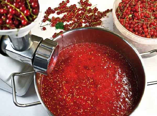 Домашнее вино из красной смородины