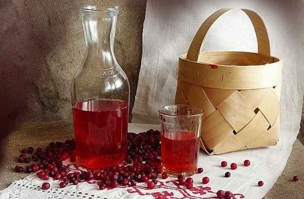 Рецепты домашнего вина из брусники