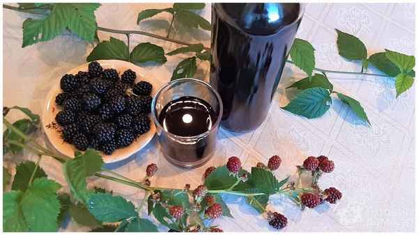 Вкусные рецепты наливки из ежевики на водке