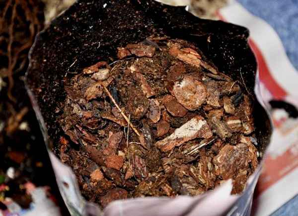 Каким должен быть состав и как сделать своими руками грунт для орхидей?