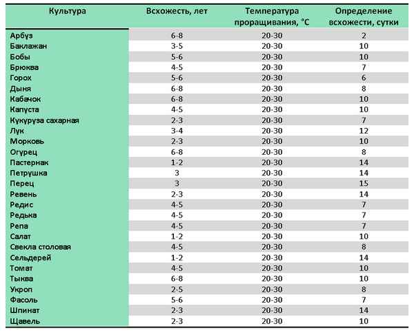 Проверяем кладовки: сколько лет семена овощей сохраняют всхожесть?