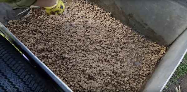 Улучшаю урожай в огороде с помощью дешевого наполнителя для кошачьего лотка