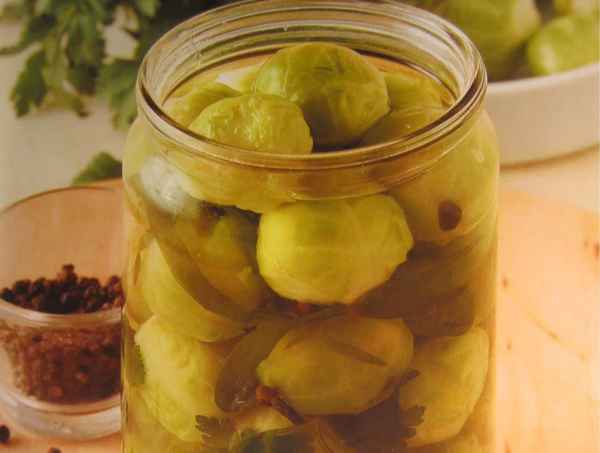 Вкуснейшие рецепты заготовок брюссельской капусты на зиму