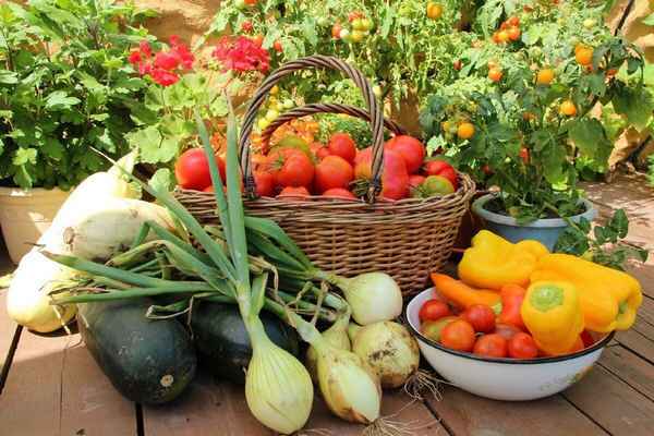 Что нужно вашему саду в августе для богатого урожая?