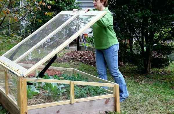 Самодельная мини-теплица для рассады: виды, изготовление своими руками