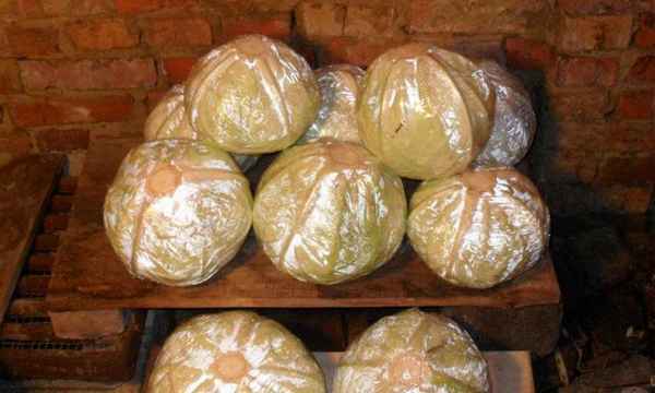 Как правильно хранить капусту в погребе?