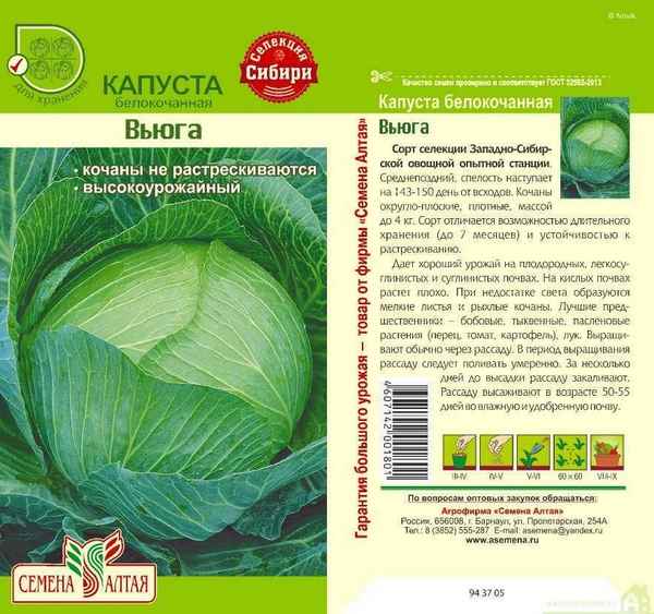Особенности выращивания капусты Вьюга