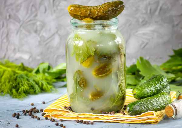 Лучшие рецепты квашеных огурцов