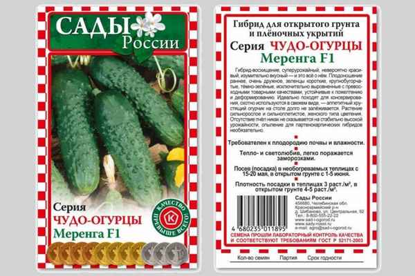 Сорт огурцов Фурор: хаpaктеристика, выращивание и уход