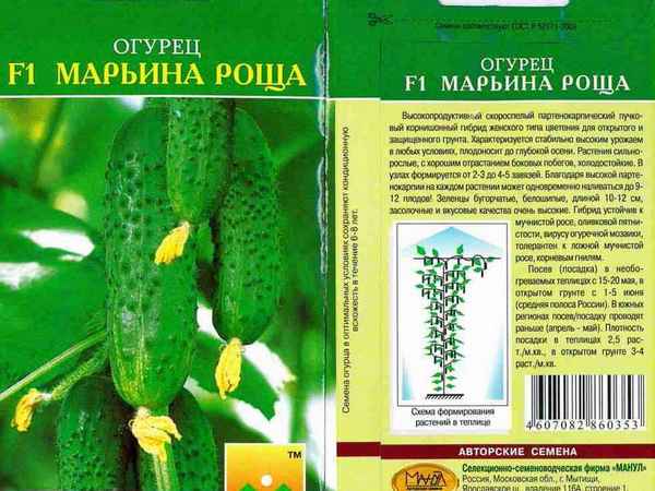 Сорт огурцов Марьина Роща: описание, хаpaктеристика, выращивания и уход
