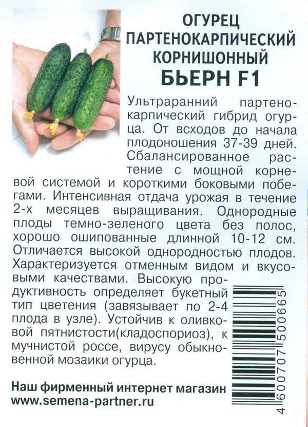 Описание сорта огурца Бьёрн