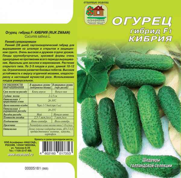 Огурец Кибрия: хаpaктеристика и агротехника выращивания