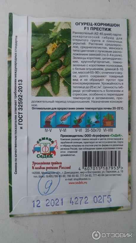 Сорт огурцов Престиж F1: описание сорта, посадка и уход
