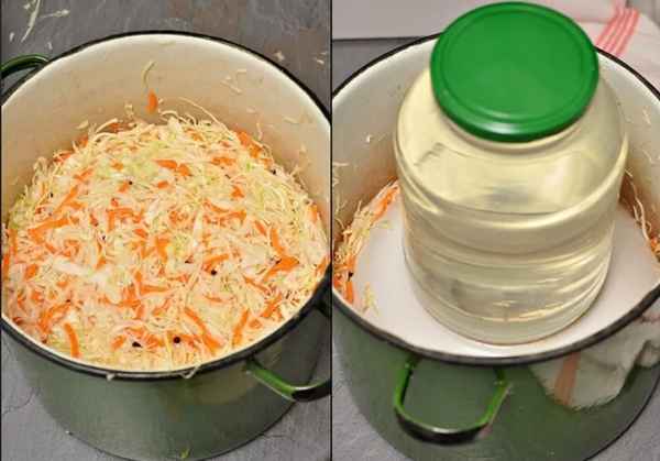 Как солить капусту с яблоками: в банке, кастрюле, ведре, бочке