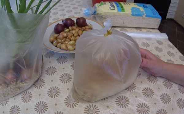 Особенности посадки лука в полиэтиленовом пакете