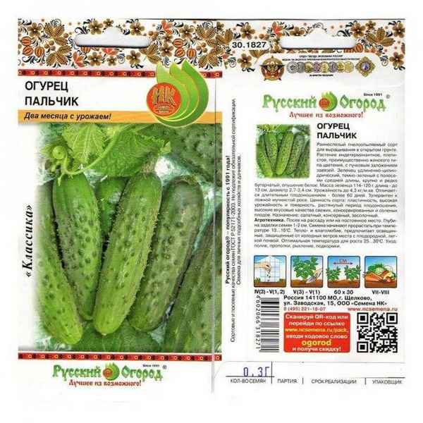 Описание сорта огурцов Пальчик, особенности посадки и ухода
