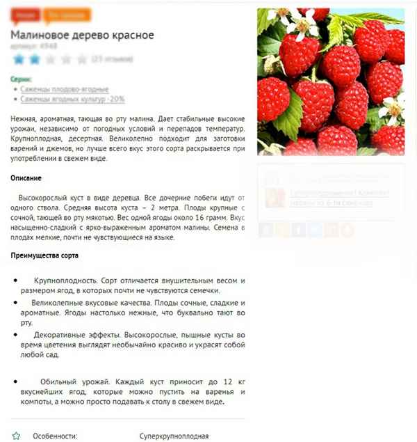 Малина Скромница: плюсы и минусы сорта, правила ухода