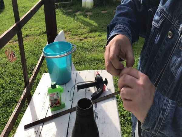 Обработка смородины весной нашатырным спиртом