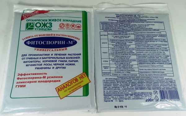 Применение «Фитоспорина-М» на смородине: особенности и рекомендации