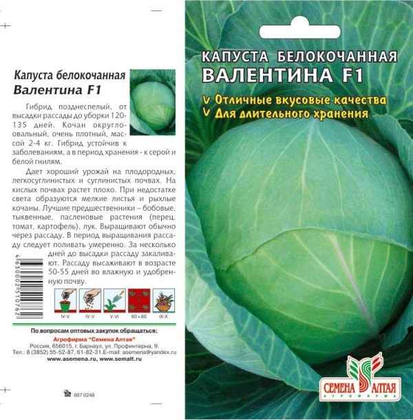 Описание и хаpaктеристика капусты сорта Валентина