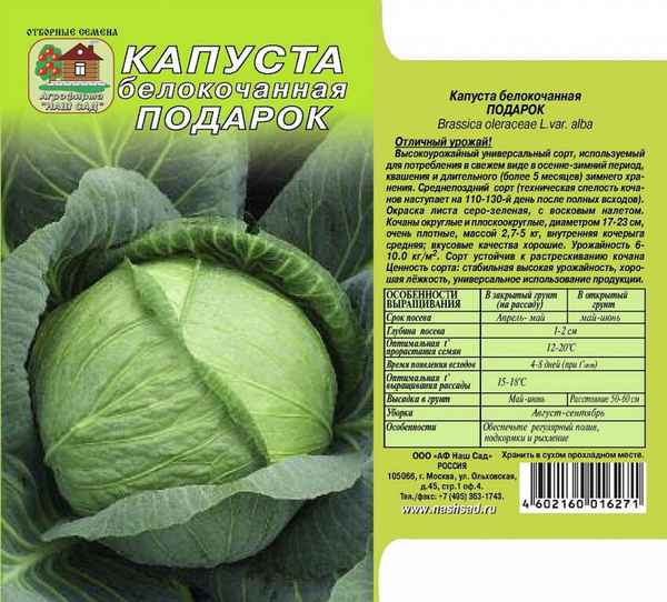 Сорт капусты Подарок: описание, агротехника выращивания