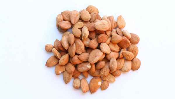 Сколько в день можно съедать абрикосовых зёрнышек