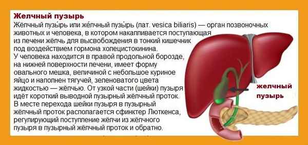 Имбирь после удаления желчного пузыря