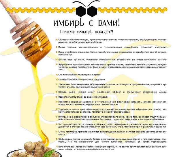 Цистит: лечение корнем имбиря, лечебные свойства, применение