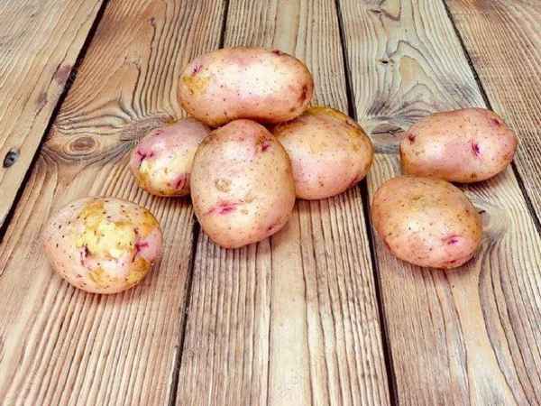 Картофель Синеглазка: описание и хаpaктеристика сорта, выращивание и уход