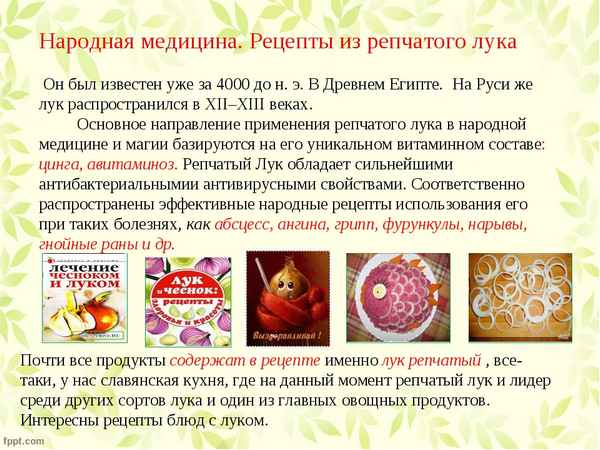 Особенности лечения заболеваний луком