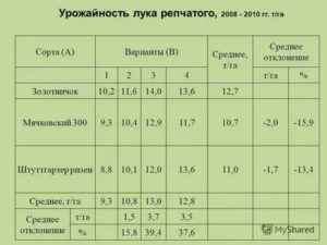 Сколько лука можно собрать с 1 га