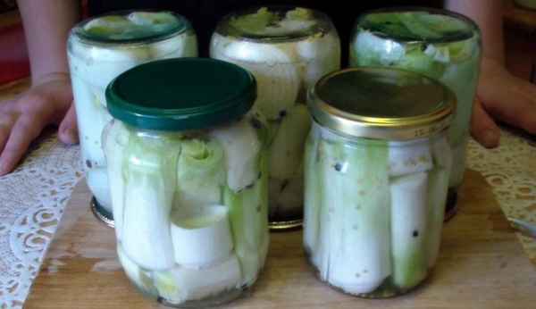 Вкуснейшие рецепты заготовок лука-порея на зиму