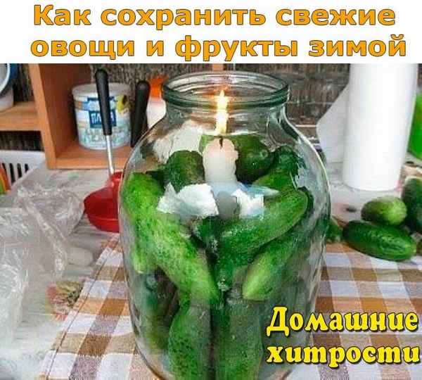 Как в домашних условиях хранить огурцы на зиму