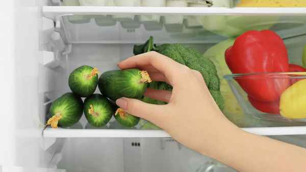 Как правильно хранить огурцы в холодильнике