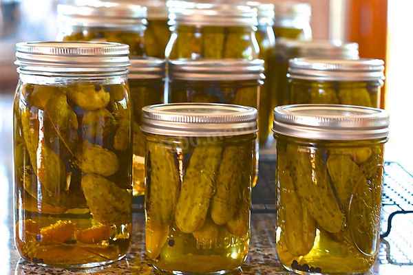 Как вкусно замариновать огурцы с яблочным уксусом